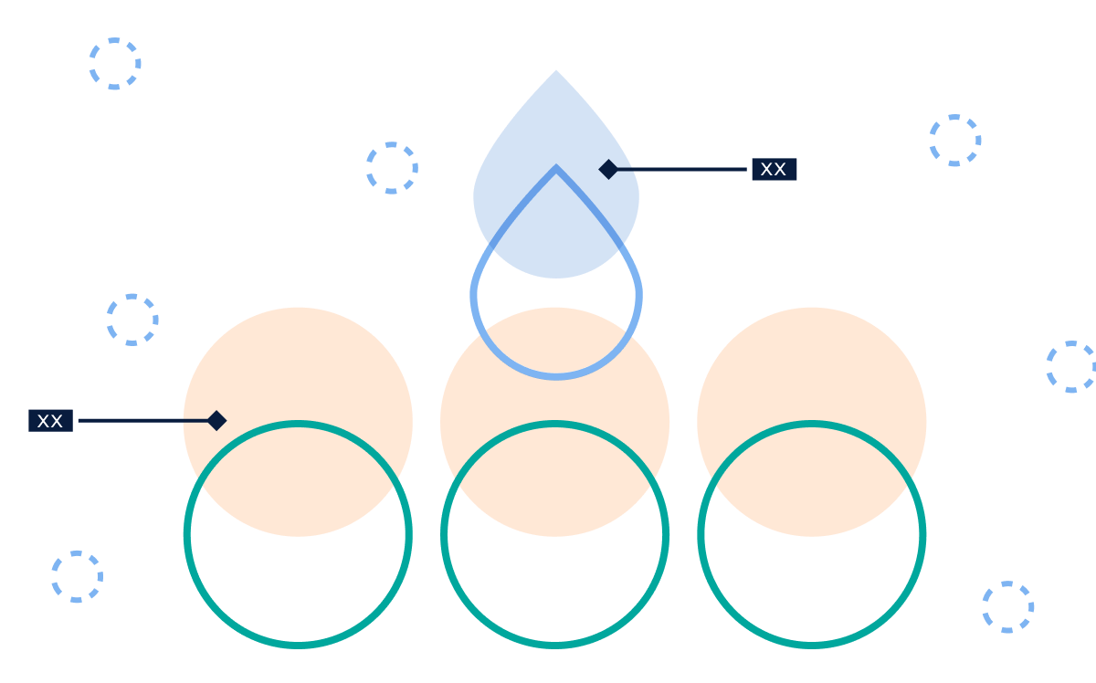 Skin Barrier Diagram
