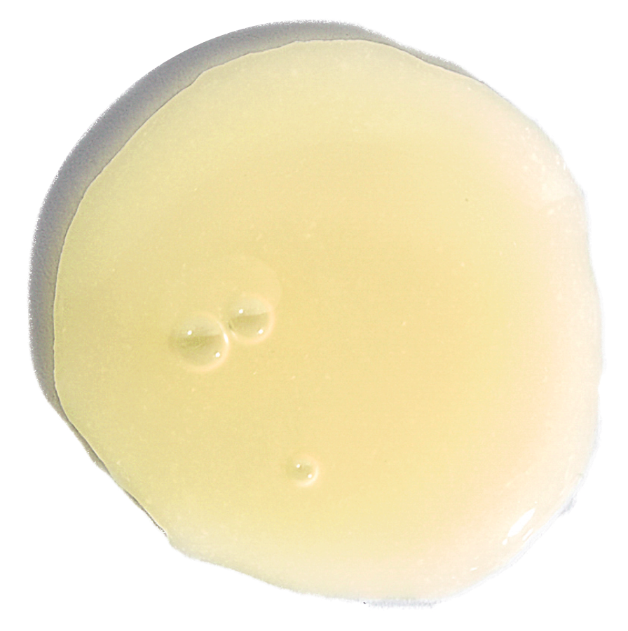 D   Circular Carousel Swatch   Vitamin X a6ea2d2b 0692 4431 a826 9a868b1a8b0e