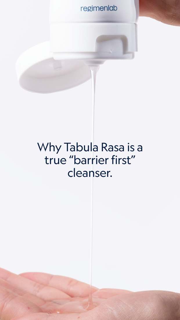 D   Tabula Rasa   Explainer Slide   1